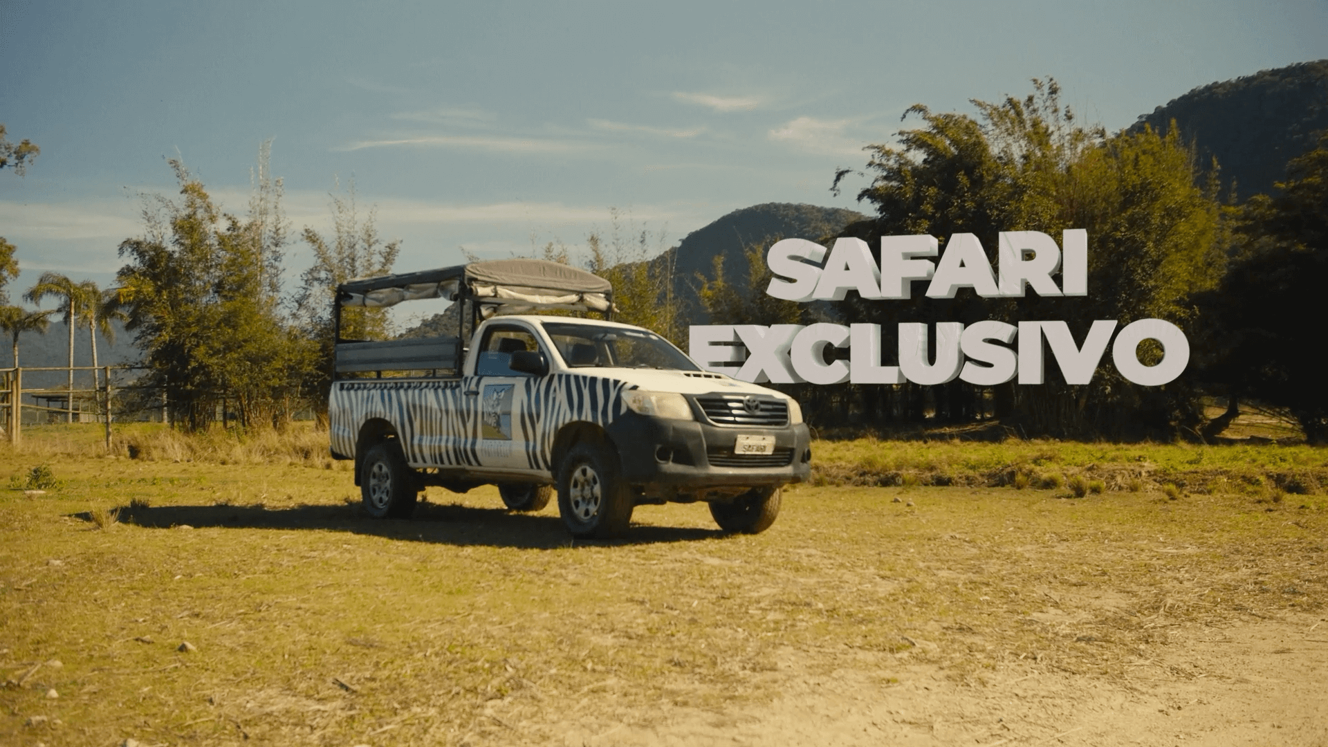 Safari - Portobello Resort